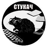 Стукач