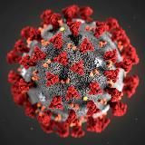 Coronavirus News