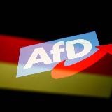 Alternative für Deutschland AFD Best Of