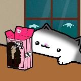 MEOW SPOT