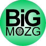 BiG Mozg