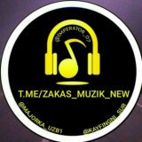 🎵🎶🎧ZAKAS🎧MUSIC🎧🎶🎵