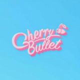 Cherry Bullet🍒