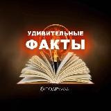 Удивительные факты