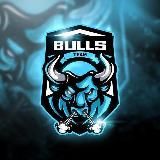 BullsBetTeam | Ставки на спорт