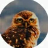 Проект Сова / Project Owl