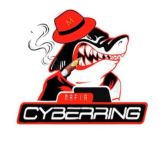 Элита CyberRing 🎮