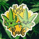 BestOfTheBuds