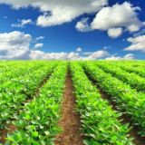 Agro Ukraine