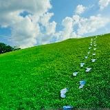 Grass-Filled Footprints