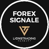 Forex Trading Signale