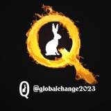 Q Global Change 🔍🐇