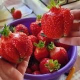 Земляничные заметки🔖 Иркутск- Байкальск 🍓🍓🍓