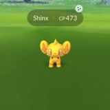 Segnalazione Raid SHINY&ALOLA