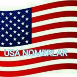 Usa nomerlar makoni