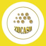 ZHCASH (blockchain, NFT), DAO ZHChain