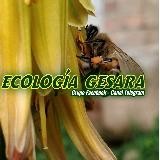 Canal ECOLOGÍA GESARA