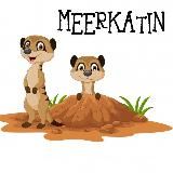 MEERKATIN