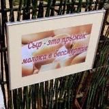 в гостях у параноича