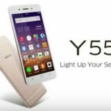 Vivo Y55 Development Group