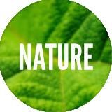 Nature 🌏
