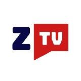 Zemmour TV