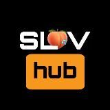 Sliv Hub