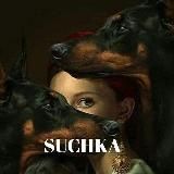 THE SUCHKA.