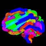 Neurology, Neuroradiology, Neurosonology & Neurophysiology