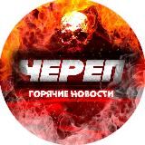 Череп — Горячие новости