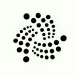 IOTA 凸了木