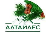 Холдинг «Алтайлес»