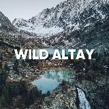 WILD RUSSIANS | АЛТАЙ