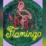 FLAMiNGO_WOMEN_luks💃🧥👗👙