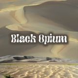 Black.Opium.family