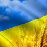 Волонтерський центр Вільногірська
